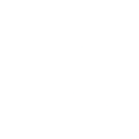 the ivy